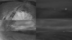 Sdružený snímek Bludný