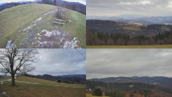 Sdružený snímek Bludný