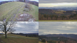 Sdružený snímek Bludný