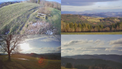 Sdružený snímek Bludný