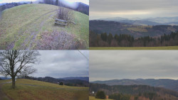 Sdružený snímek Bludný