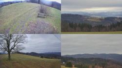 Sdružený snímek Bludný