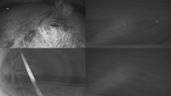 Sdružený snímek Bludný