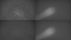 Sdružený snímek Bludný