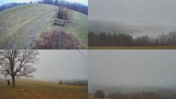 Sdružený snímek Bludný