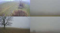 Sdružený snímek Bludný