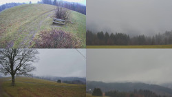 Sdružený snímek Bludný