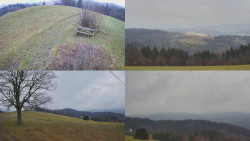 Sdružený snímek Bludný