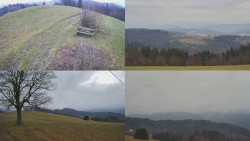 Sdružený snímek Bludný