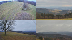 Sdružený snímek Bludný