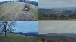 Sdružený snímek Bludný