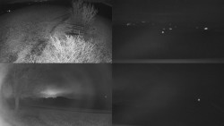 Sdružený snímek Bludný