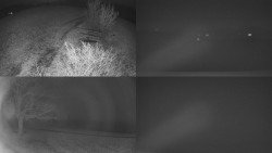 Sdružený snímek Bludný