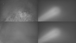 Sdružený snímek Bludný