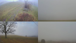 Sdružený snímek Bludný