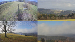 Sdružený snímek Bludný