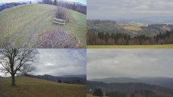 Sdružený snímek Bludný