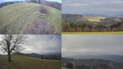 Sdružený snímek Bludný