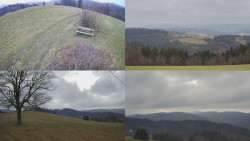 Sdružený snímek Bludný