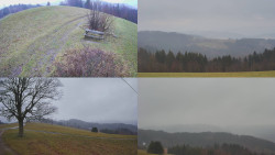 Sdružený snímek Bludný