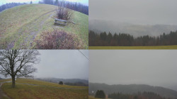 Sdružený snímek Bludný