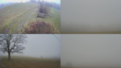 Sdružený snímek Bludný