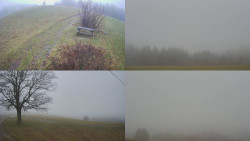 Sdružený snímek Bludný