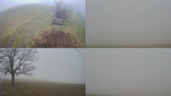 Sdružený snímek Bludný