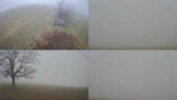 Sdružený snímek Bludný