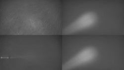 Sdružený snímek Bludný