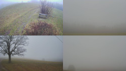 Sdružený snímek Bludný