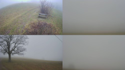 Sdružený snímek Bludný