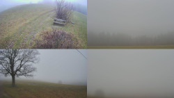 Sdružený snímek Bludný