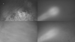 Sdružený snímek Bludný