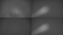 Sdružený snímek Bludný