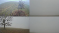 Sdružený snímek Bludný