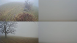 Sdružený snímek Bludný