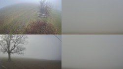 Sdružený snímek Bludný