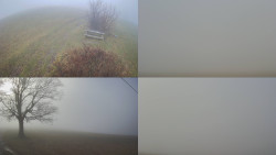 Sdružený snímek Bludný