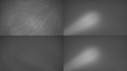 Sdružený snímek Bludný