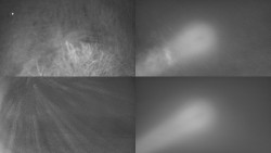 Sdružený snímek Bludný