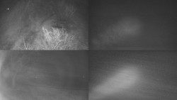 Sdružený snímek Bludný