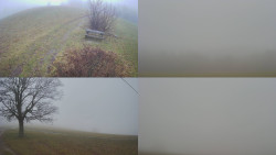 Sdružený snímek Bludný