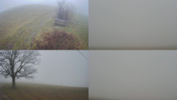 Sdružený snímek Bludný