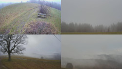 Sdružený snímek Bludný