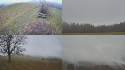 Sdružený snímek Bludný