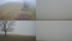 Sdružený snímek Bludný