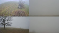 Sdružený snímek Bludný