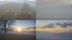 Sdružený snímek Bludný