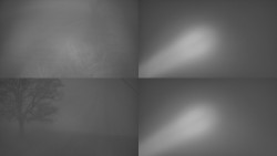 Sdružený snímek Bludný